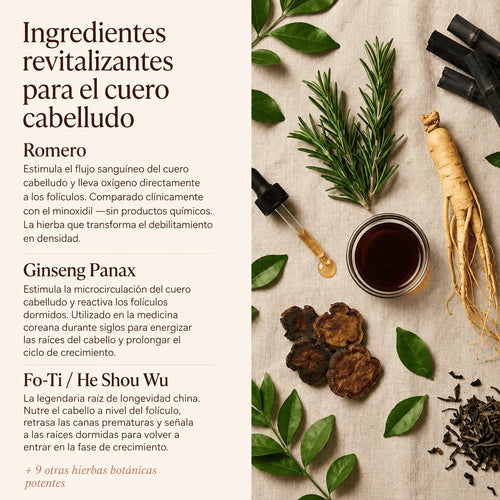Barra Coreana Revitalizante para el Cuero Cabelludo
