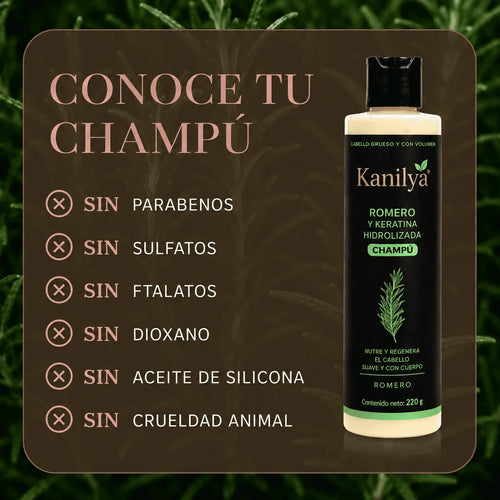 Champú de Romero Tgideas