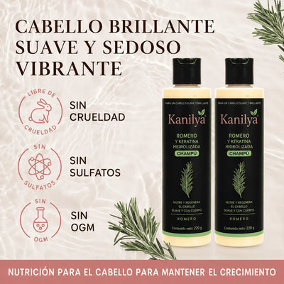 Champú de Romero Tgideas